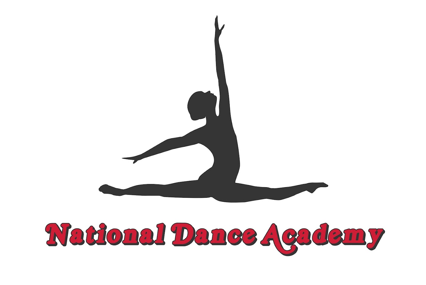 Dance Academy