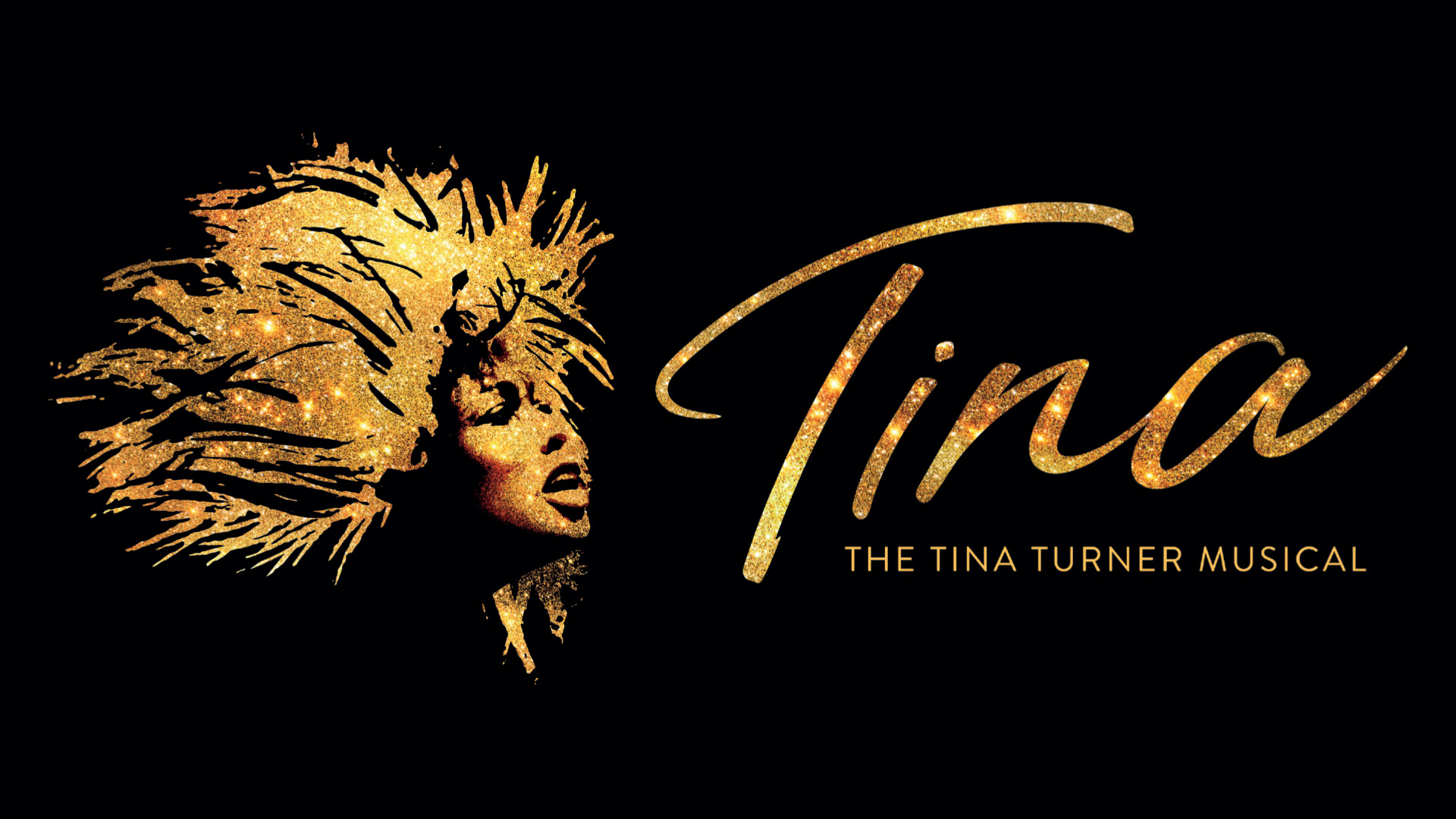 Tina The Tina Turner Musical