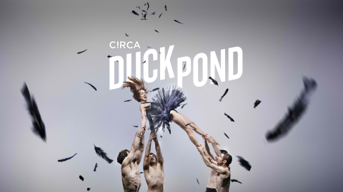 C!RCA Duck Pond