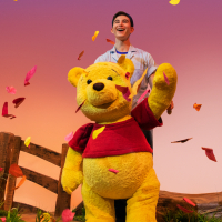 Winnie the Pooh