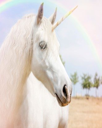 Unicorn with rainbow