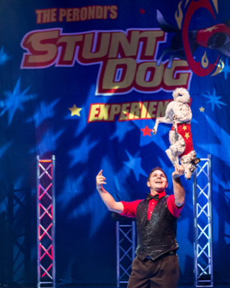 A dog balancing on a guys hand in the air on stage