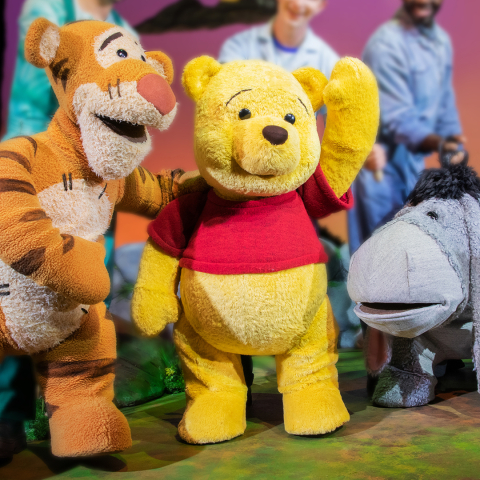 Winnie the Pooh